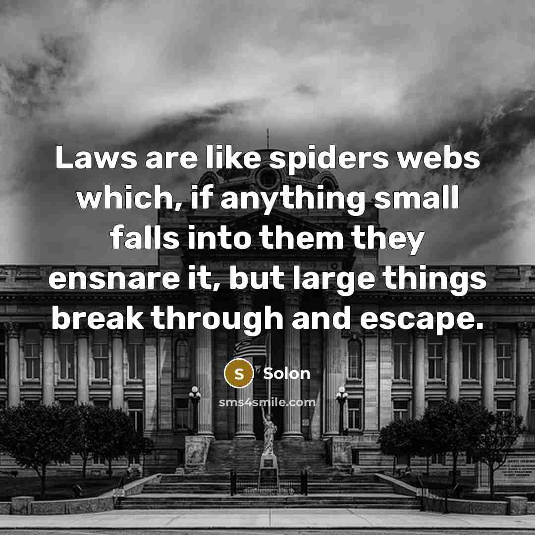 “Laws are like spiders webs which, if anything small falls…” quote by Solon