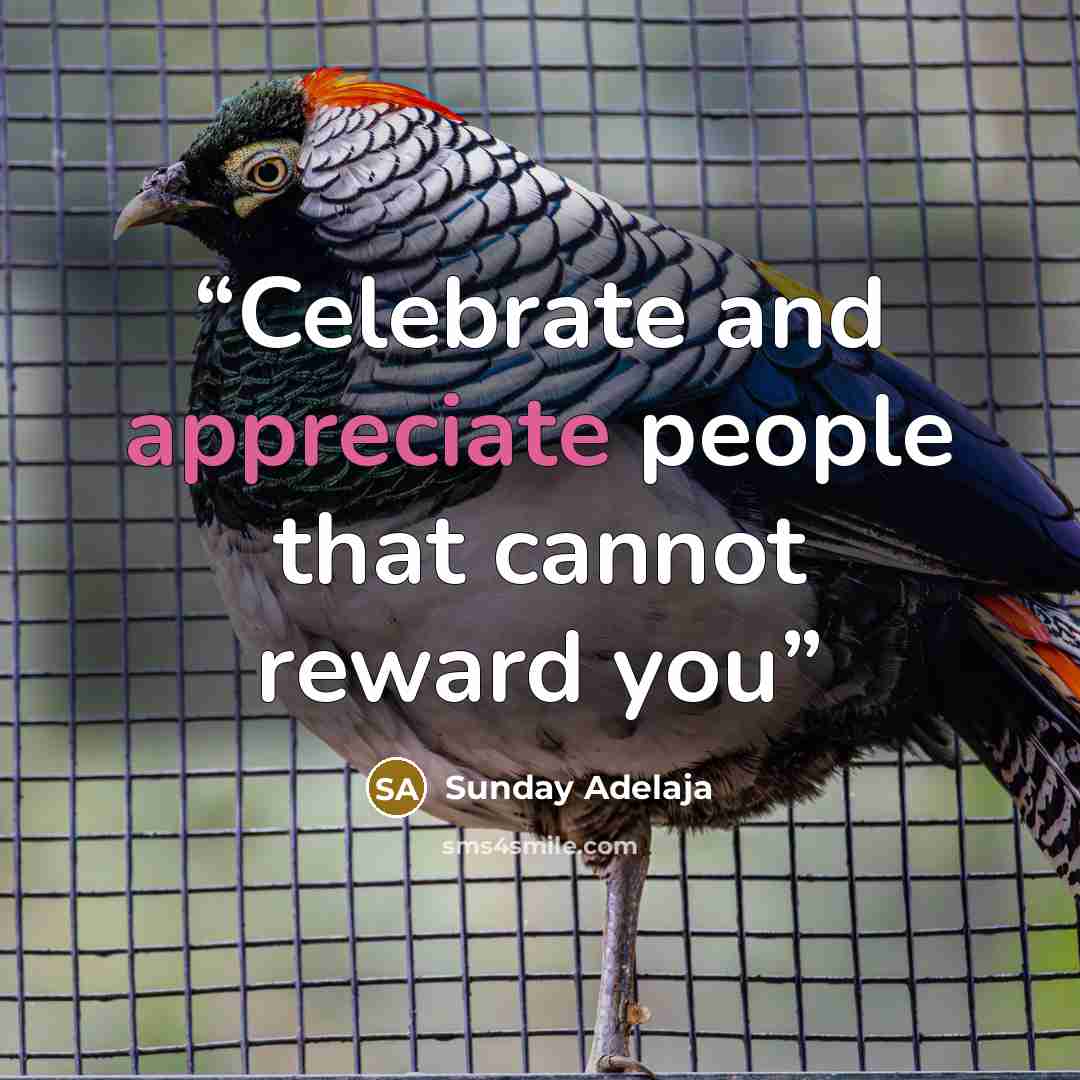 “Celebrate and appreciate people that cannot reward you” quote by Sunday Adelaja