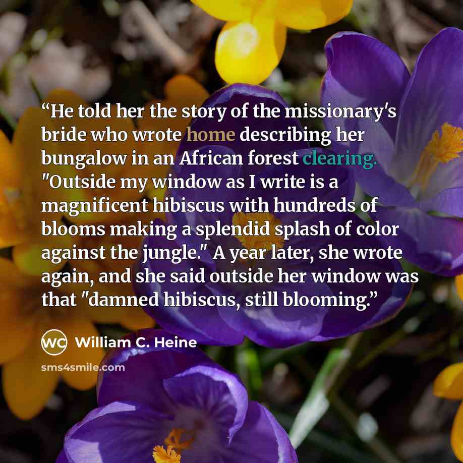 “He told her the story of the missionary's bride who wrote home describing her bungalow in an African forest clearing. "Outside my window as I write is a magnificent hibiscus with hundreds of blooms making a splendid splash of color against the jungle." A year later, she wrote again, and she said…” quote by William C. Heine