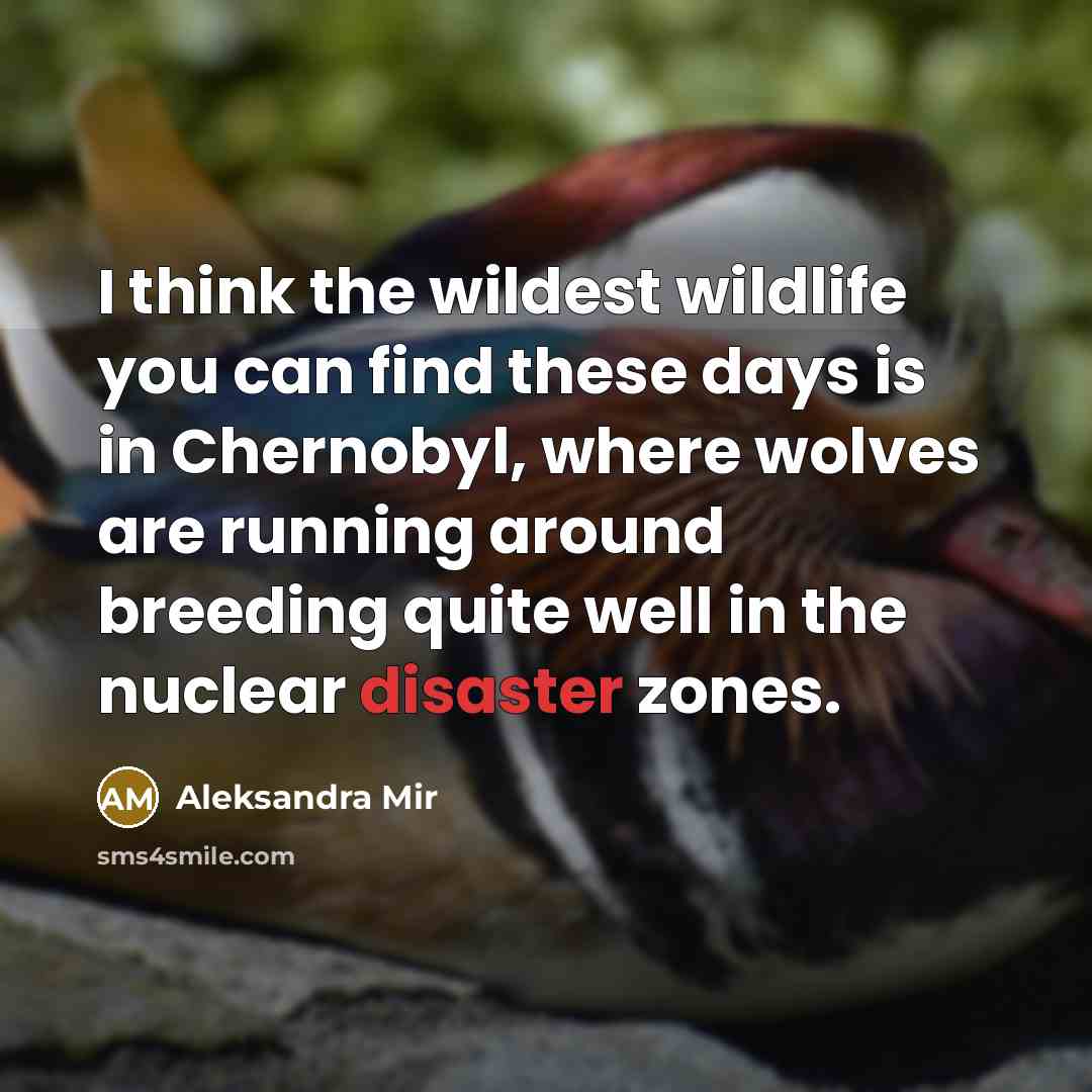 “I think the wildest wildlife you can find these days…” quote by Aleksandra Mir
