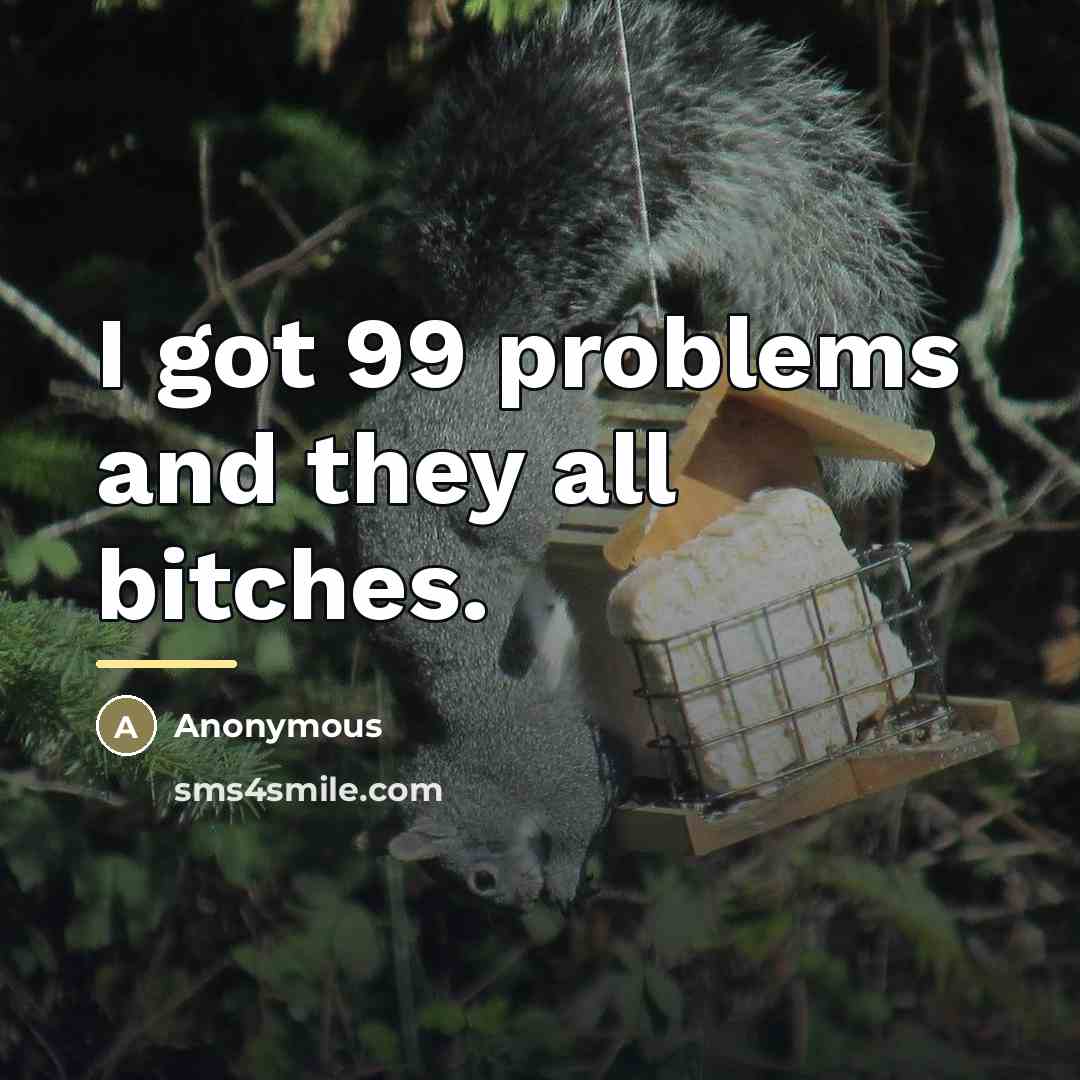 “I got 99 problems and they all bitches.…” quote by Anonymous
