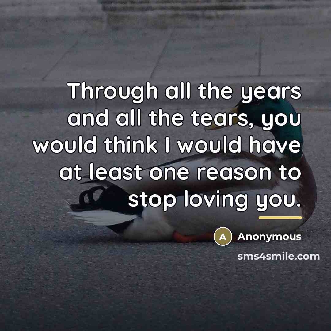 “Through all the years and all the tears, you would…” quote by Anonymous
