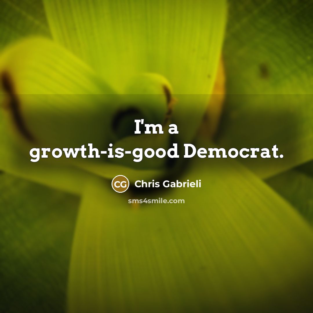 “I'm a growth-is-good Democrat.…” quote by Chris Gabrieli