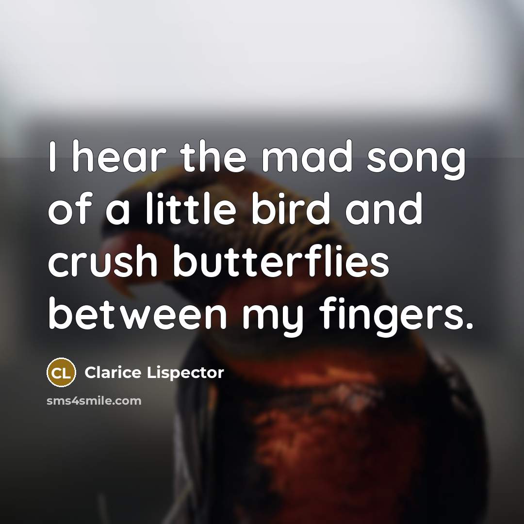 “I hear the mad song of a little bird and…” quote by Clarice Lispector