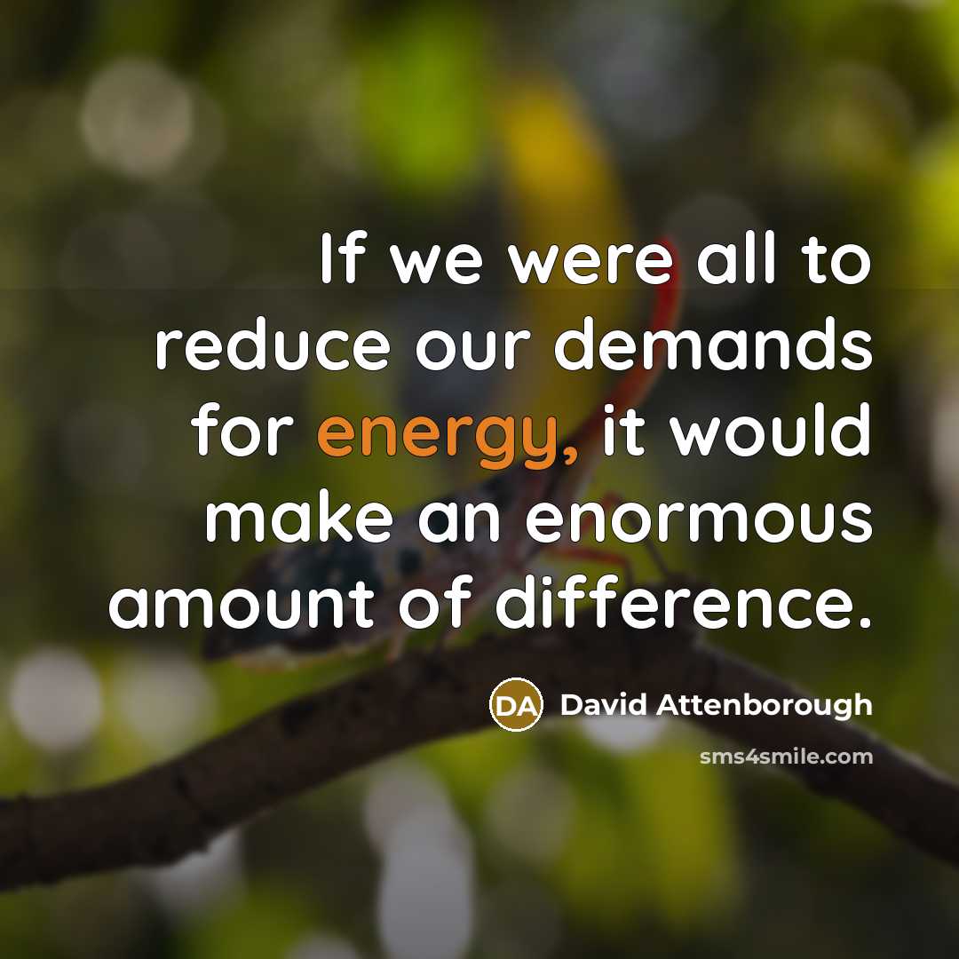 “If we were all to reduce our demands for energy,…” quote by David Attenborough