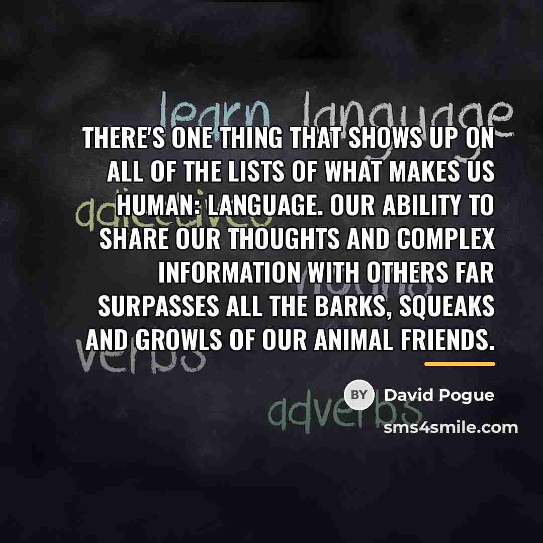 “There's one thing that shows up on all of the…” quote by David Pogue