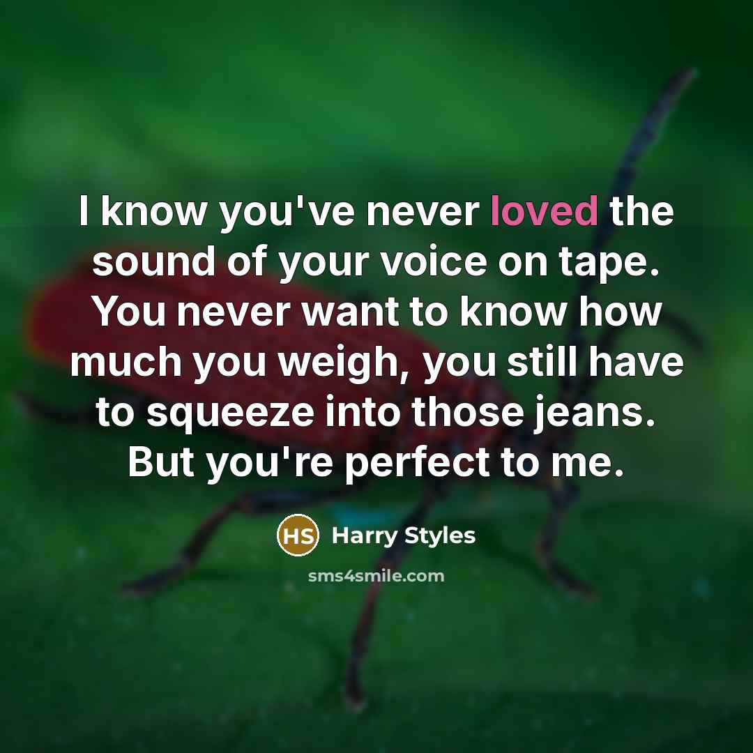 “I know you've never loved the sound of your voice…” quote by Harry Styles