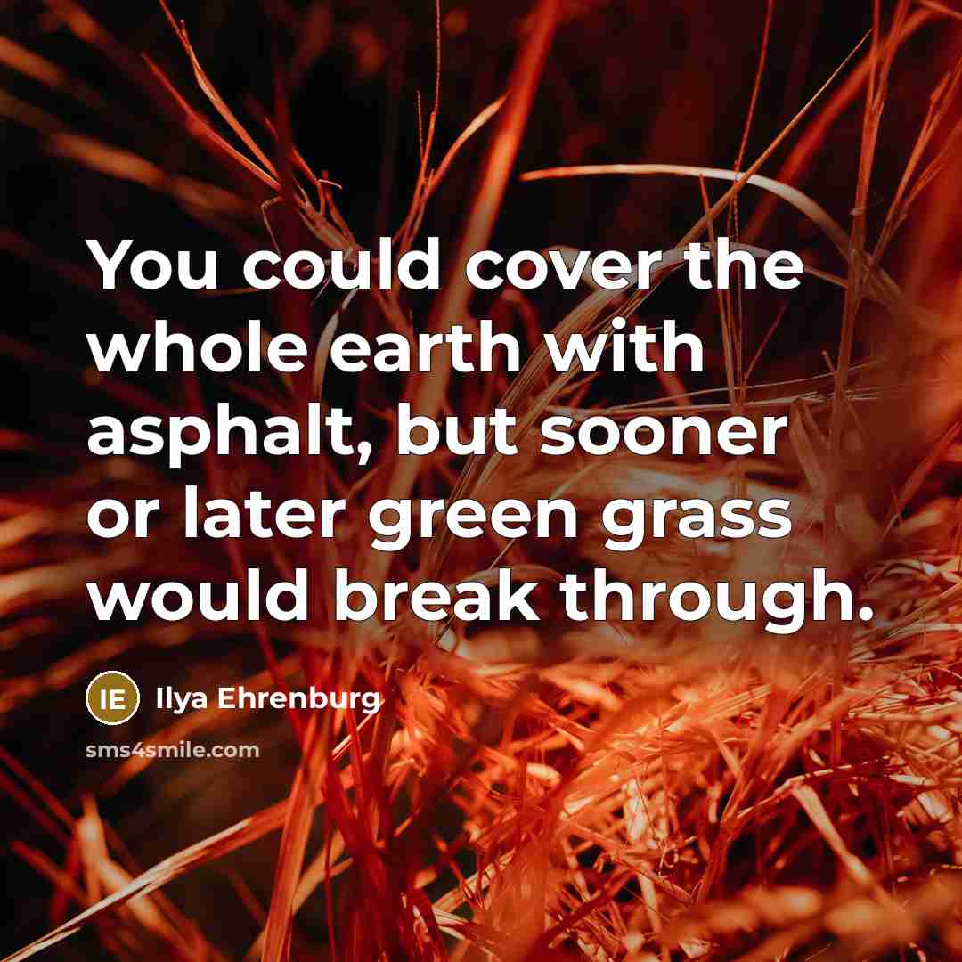 “You could cover the whole earth with asphalt, but sooner…” quote by Ilya Ehrenburg
