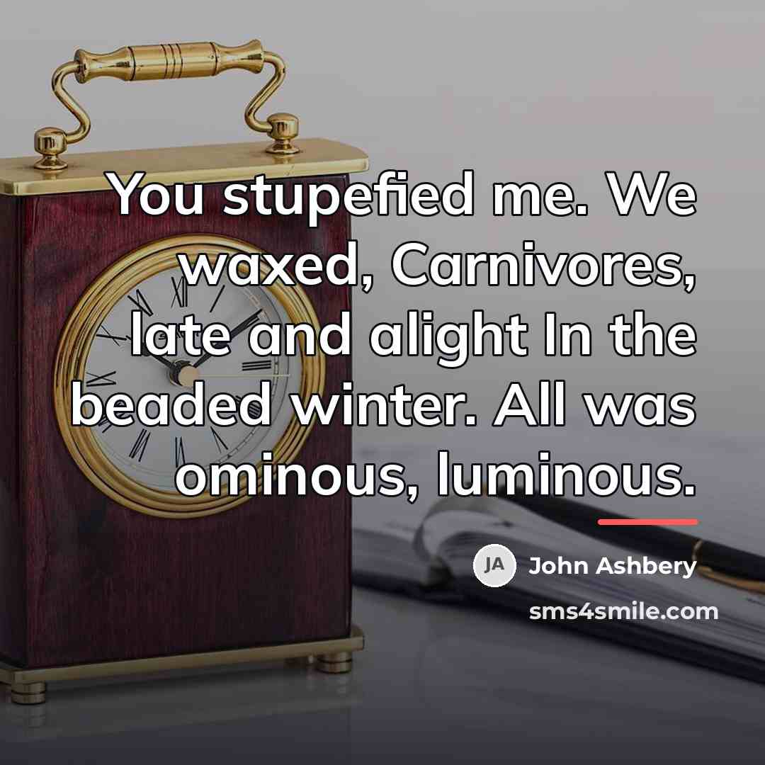 “You stupefied me. We waxed, Carnivores, late and alight In…” quote by John Ashbery