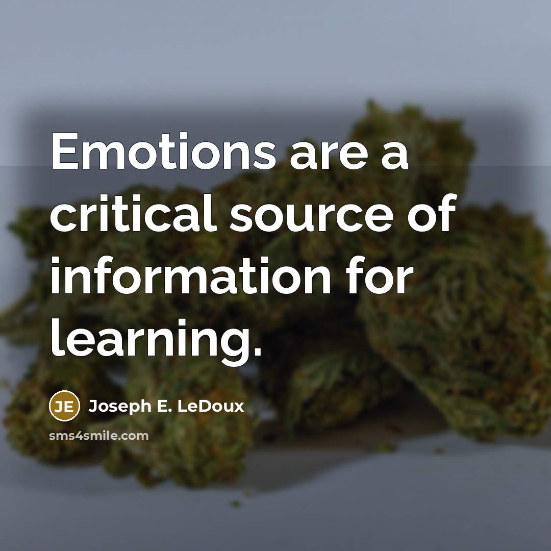 “Emotions are a critical source of information for learning.…” quote by Joseph E. LeDoux