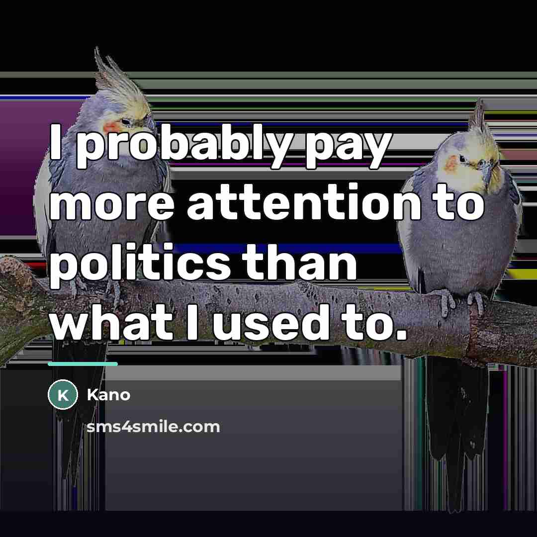 “I probably pay more attention to politics than what I…” quote by Kano