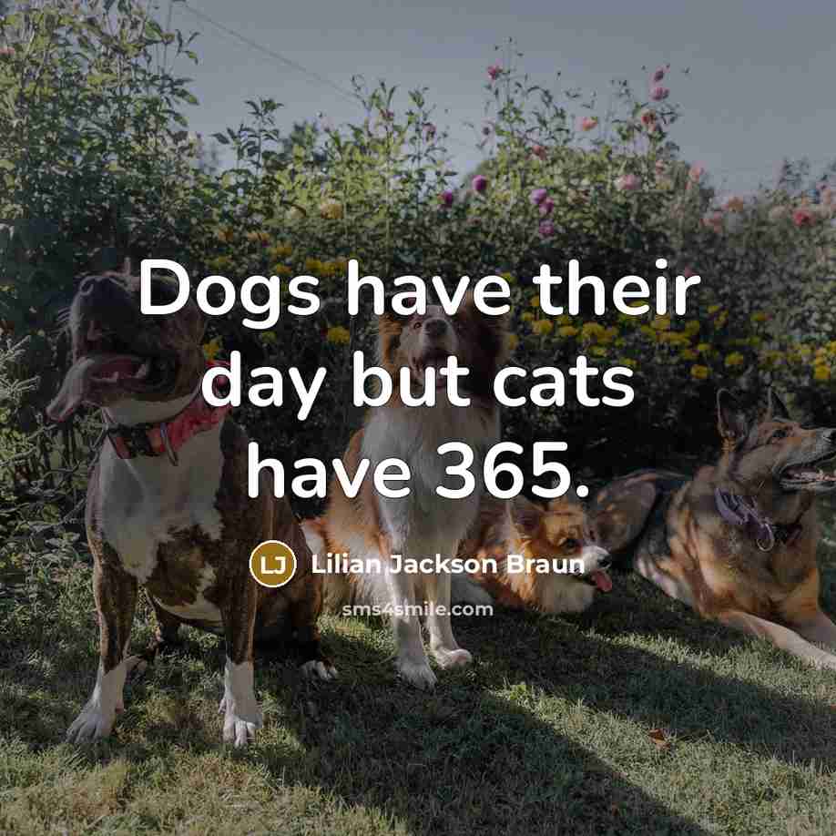“Dogs have their day but cats have 365.…” quote by Lilian Jackson Braun