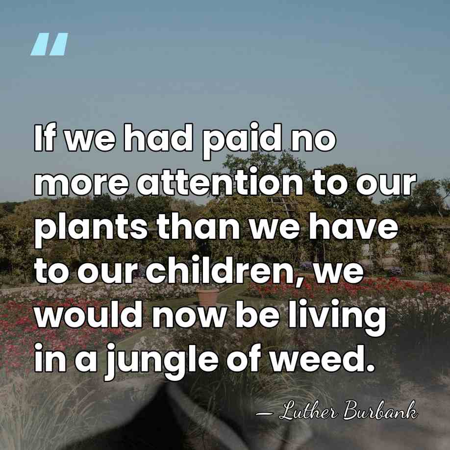 If we had paid no more attention to our plants than we&hellip; - Luther Burbank