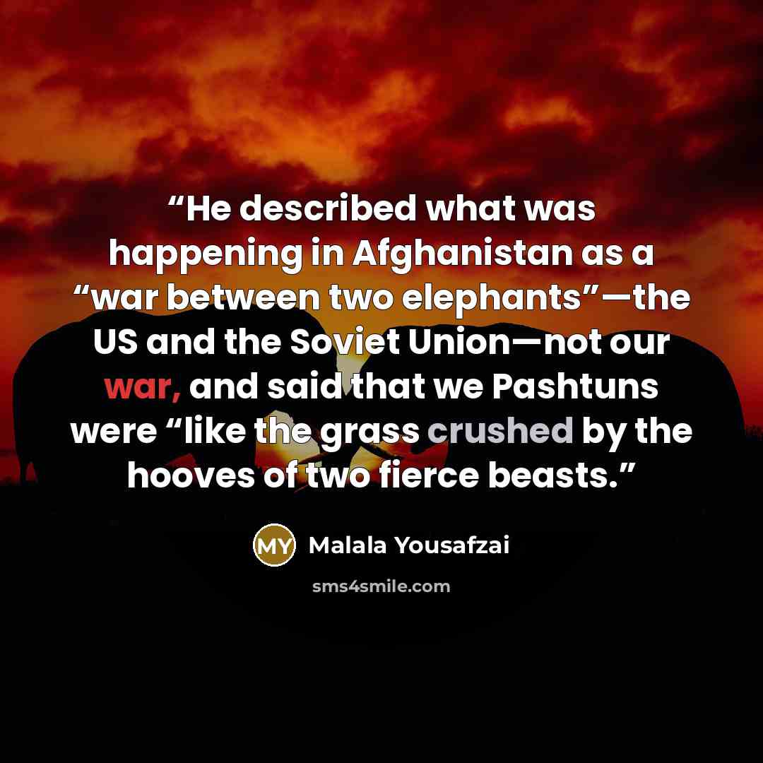 “He described what was happening in Afghanistan as a “war between two elephants”—the US and the Soviet Union—not our war, and said that we Pashtuns were “like the grass crushed by the hooves of two fierce beasts.” quote by Malala Yousafzai
