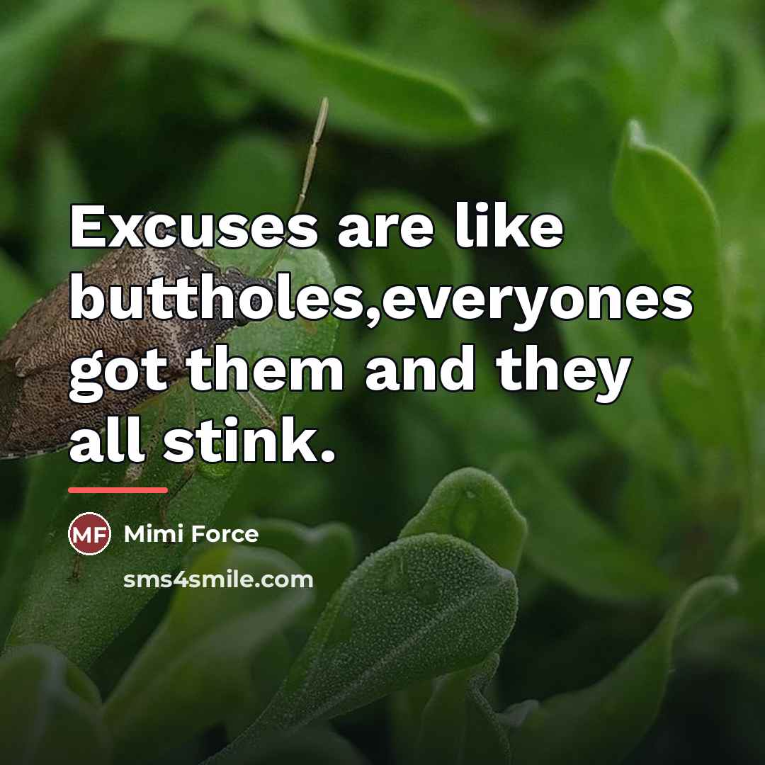 “Excuses are like buttholes,everyones got them and they all stink.…” quote by Mimi Force