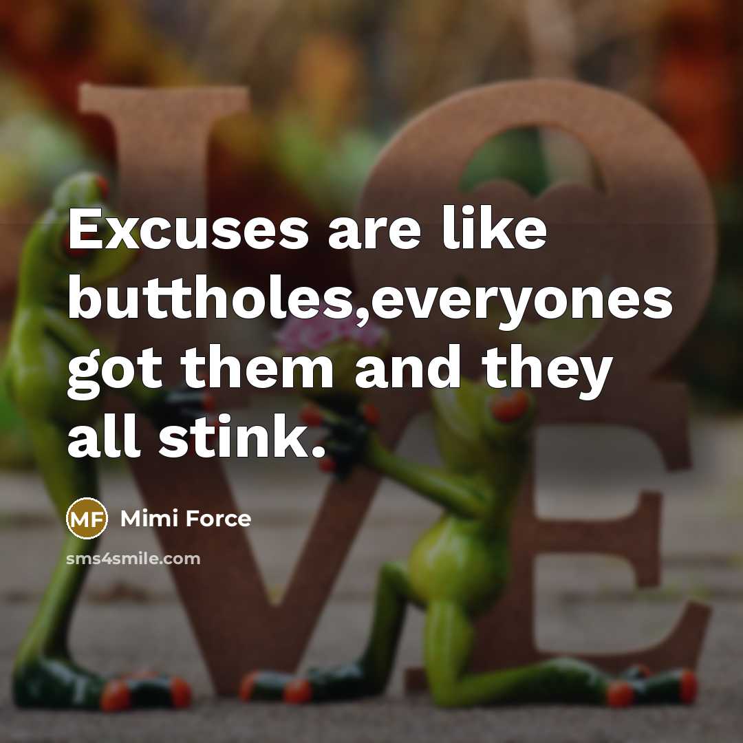 “Excuses are like buttholes,everyones got them and they all stink.” quote by Mimi Force