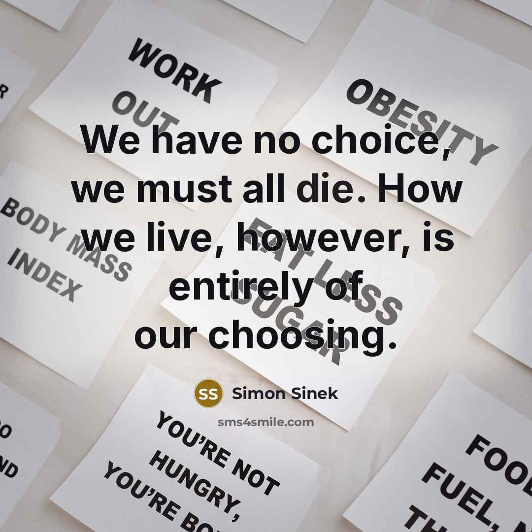 “We have no choice, we must all die. How we…” quote by Simon Sinek