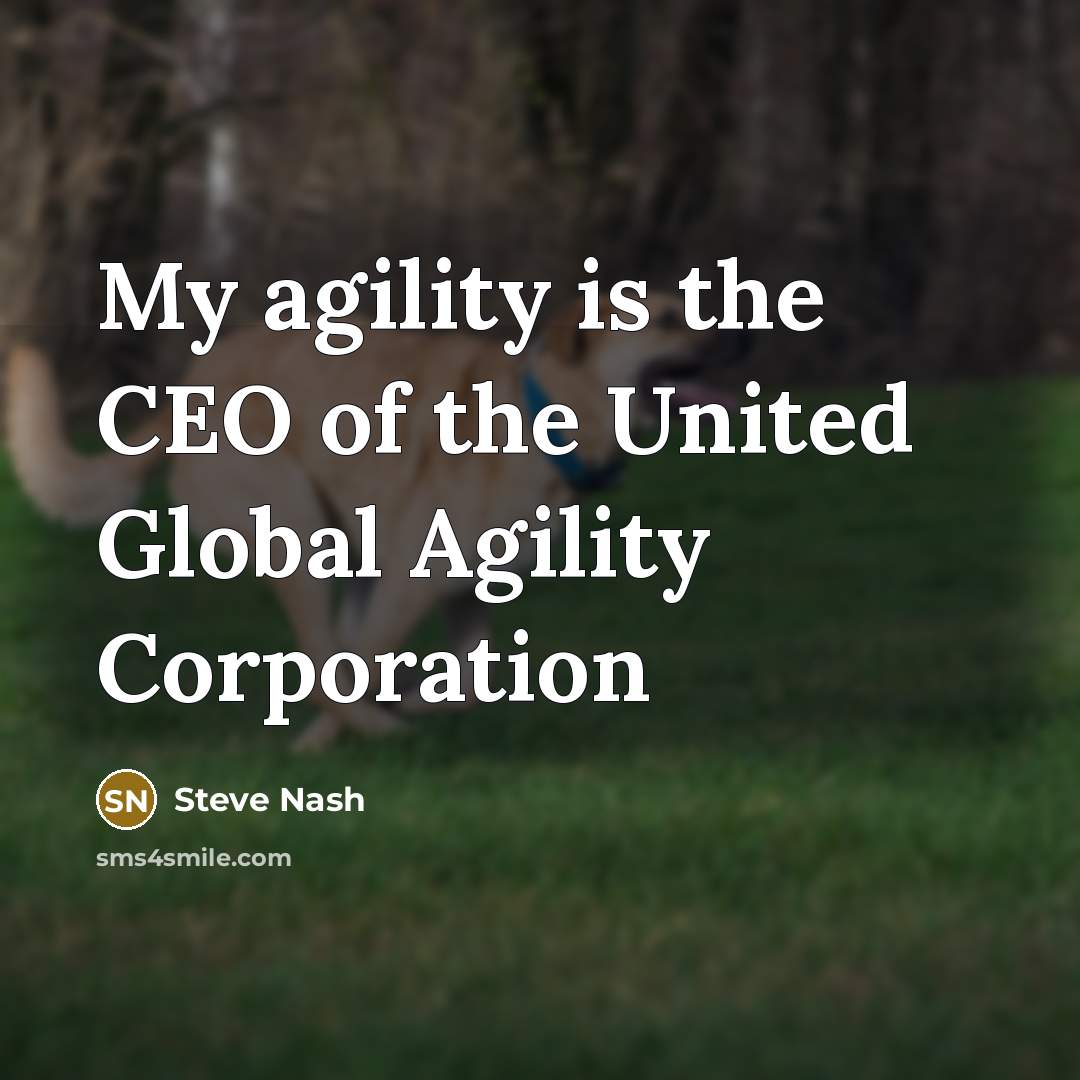 “My agility is the CEO of the United Global Agility…” quote by Steve Nash