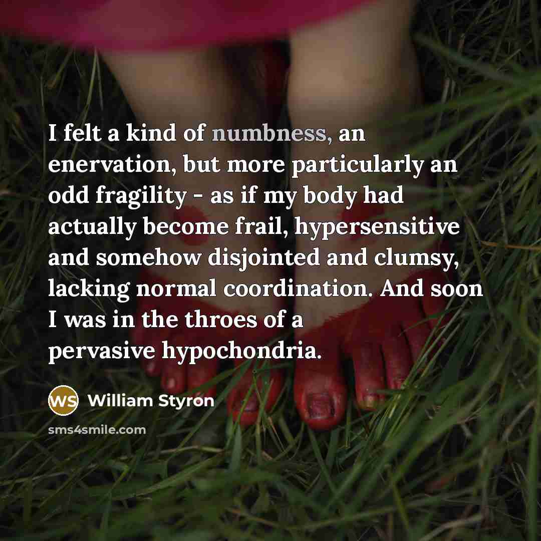 “I felt a kind of numbness, an enervation, but more…” quote by William Styron