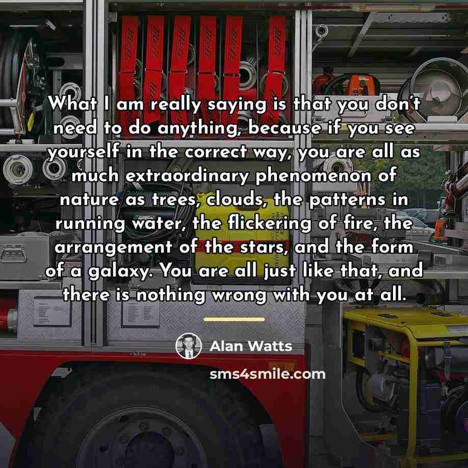 “What I am really saying is that you don’t need…” quote by Alan Watts