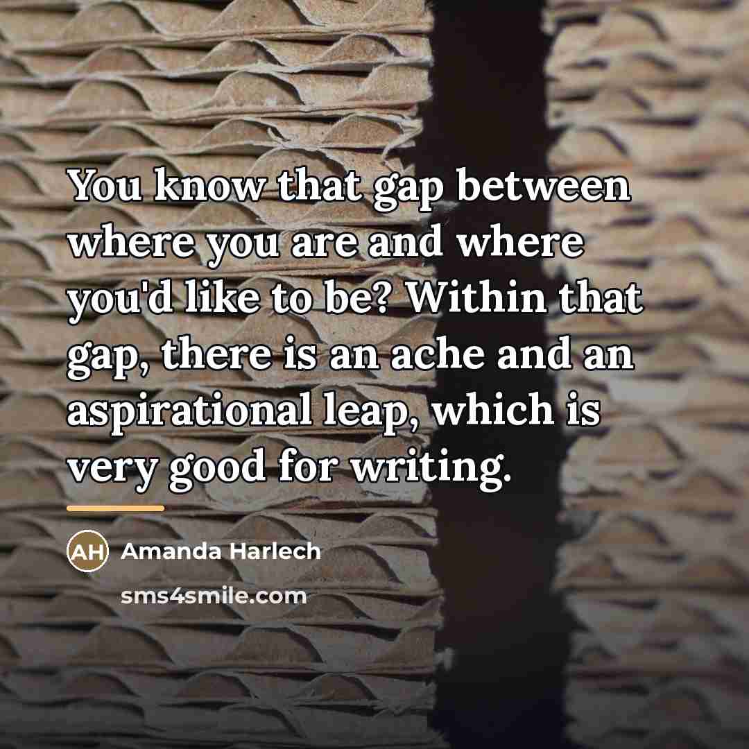 “You know that gap between where you are and where…” quote by Amanda Harlech