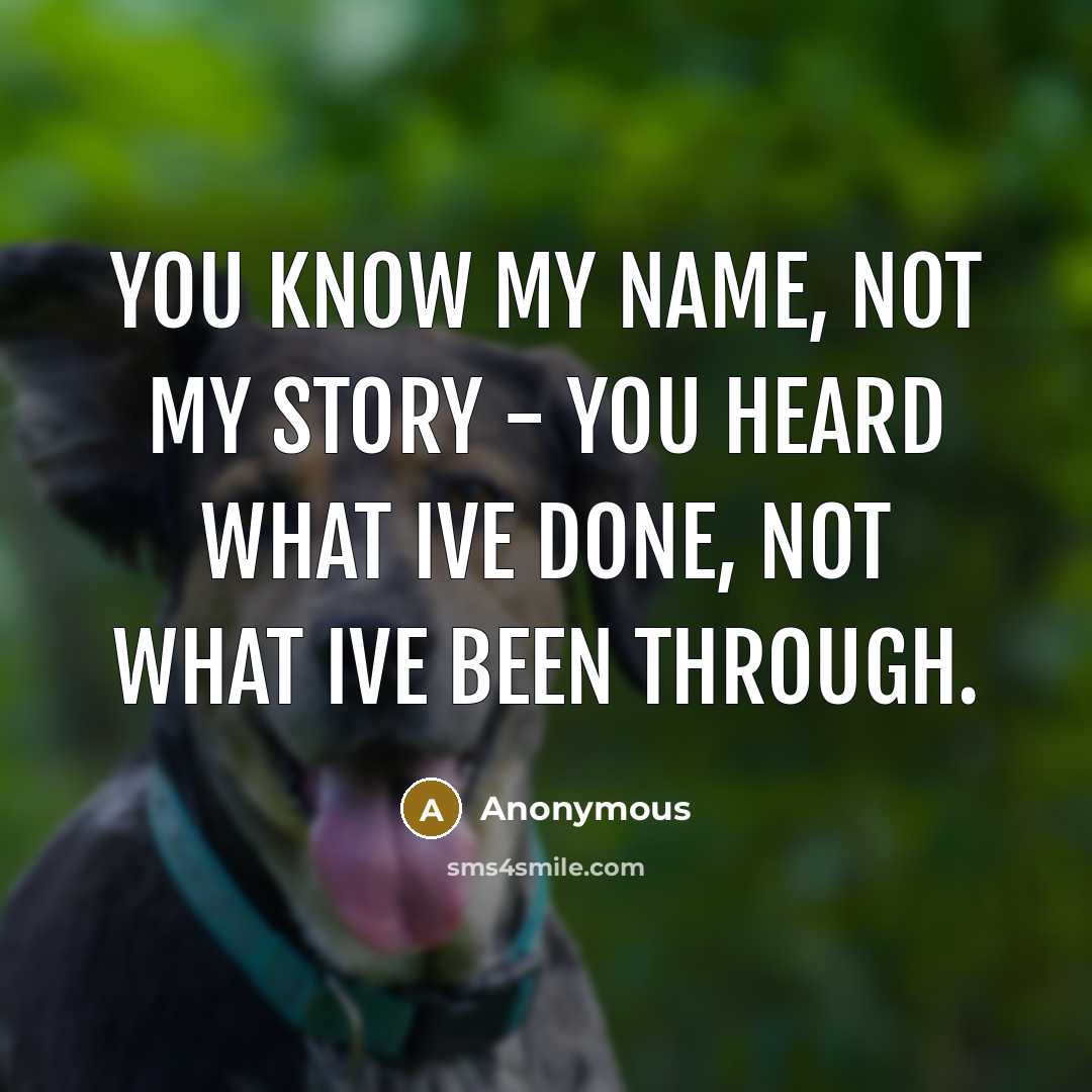 “You know my name, not my story - you heard what ive done, not what ive been through.” quote by Anonymous