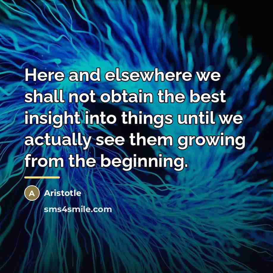 “Here and elsewhere we shall not obtain the best insight…” quote by Aristotle