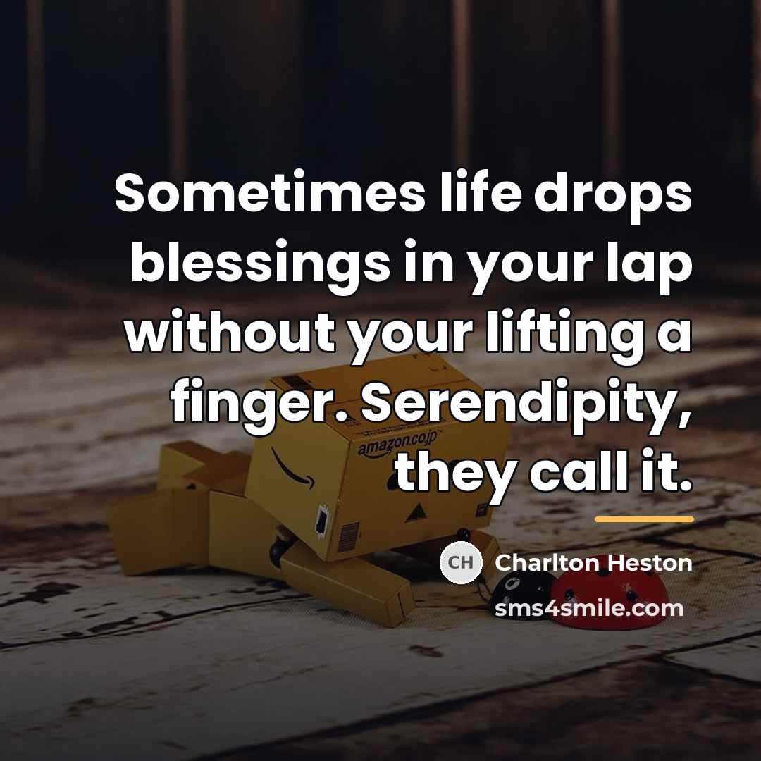 “Sometimes life drops blessings in your lap without your lifting…” quote by Charlton Heston