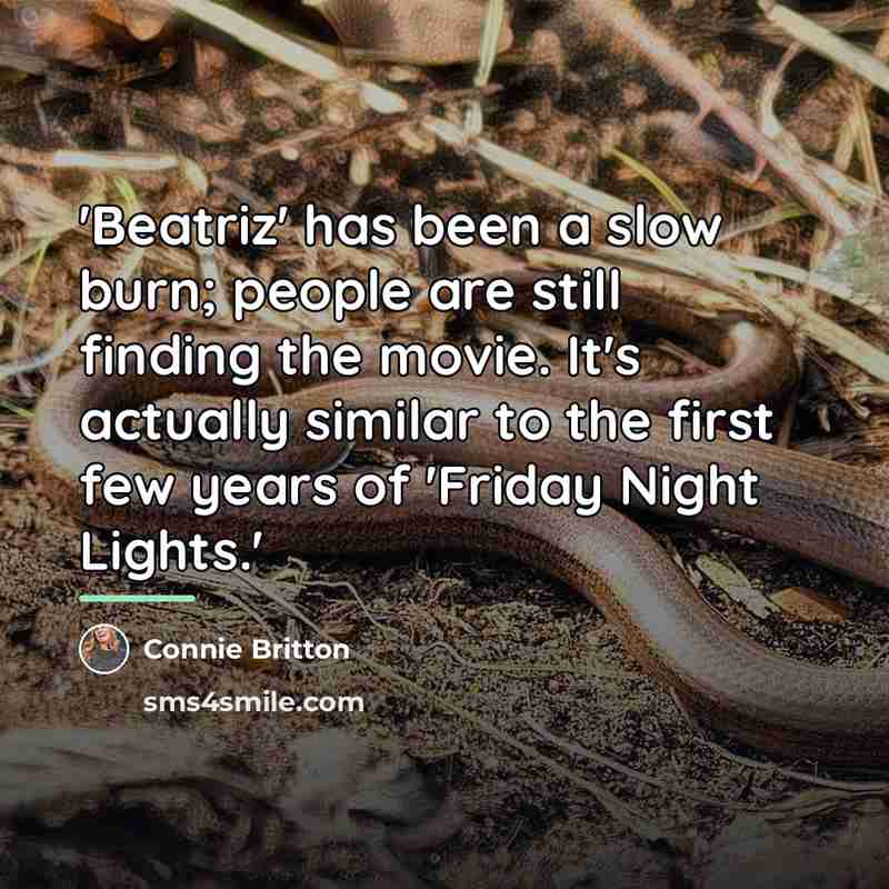 “'Beatriz' has been a slow burn; people are still finding…” quote by Connie Britton