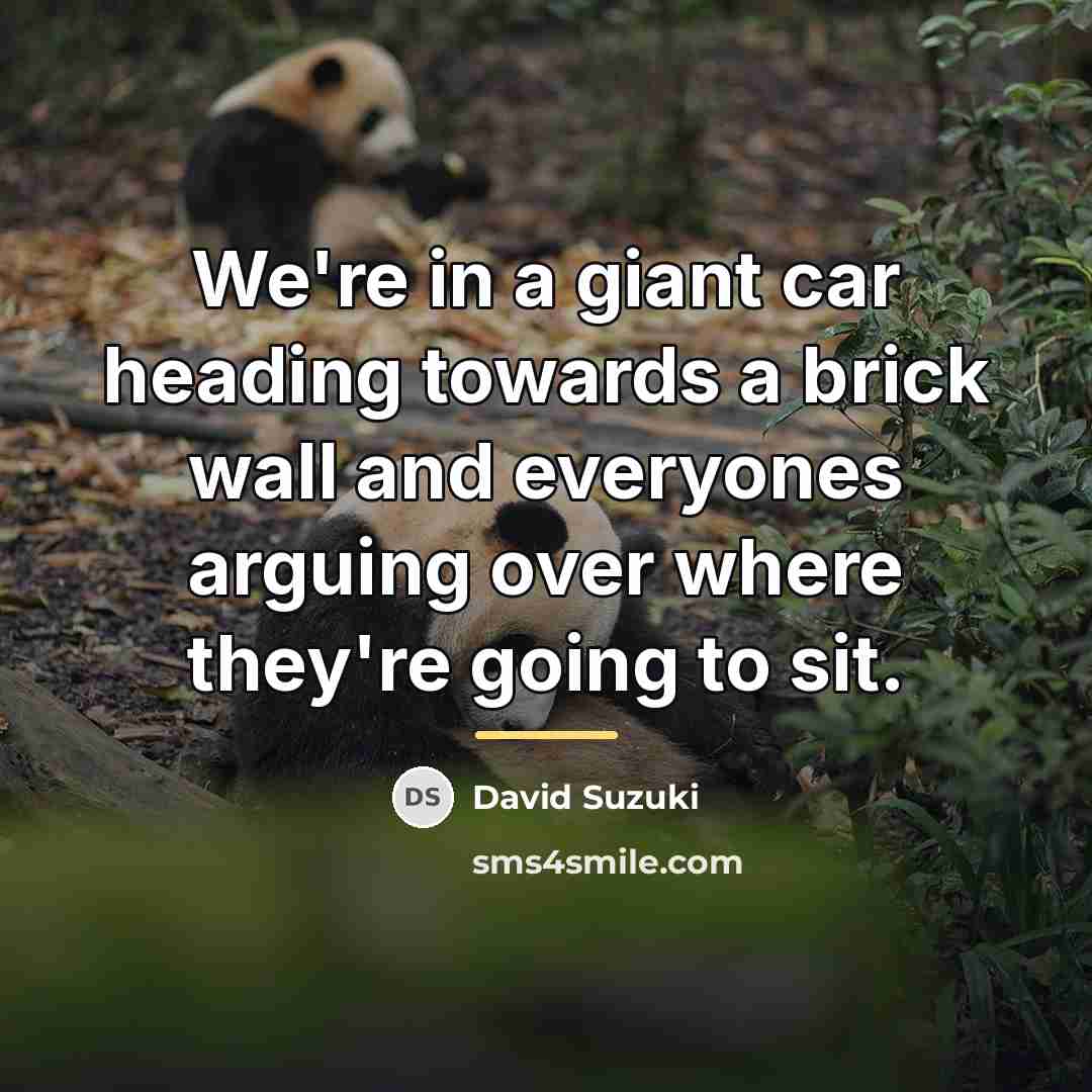 “We're in a giant car heading towards a brick wall…” quote by David Suzuki
