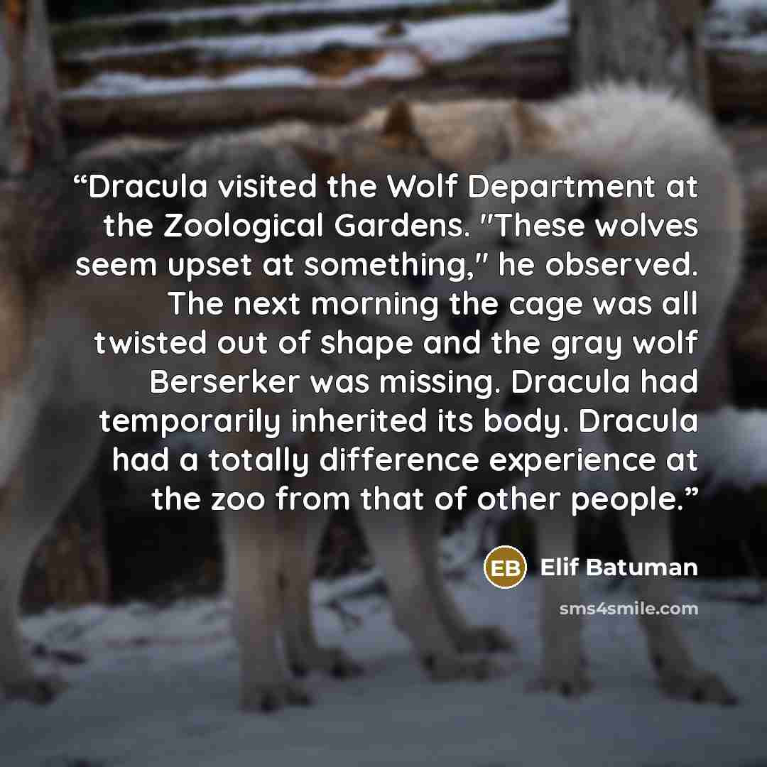 “Dracula visited the Wolf Department at the Zoological Gardens. "These wolves seem upset at something," he observed. The next morning the cage was all twisted out of shape and the gray wolf Berserker was missing. Dracula had temporarily inherited its body. Dracula had a totally difference…” quote by Elif Batuman