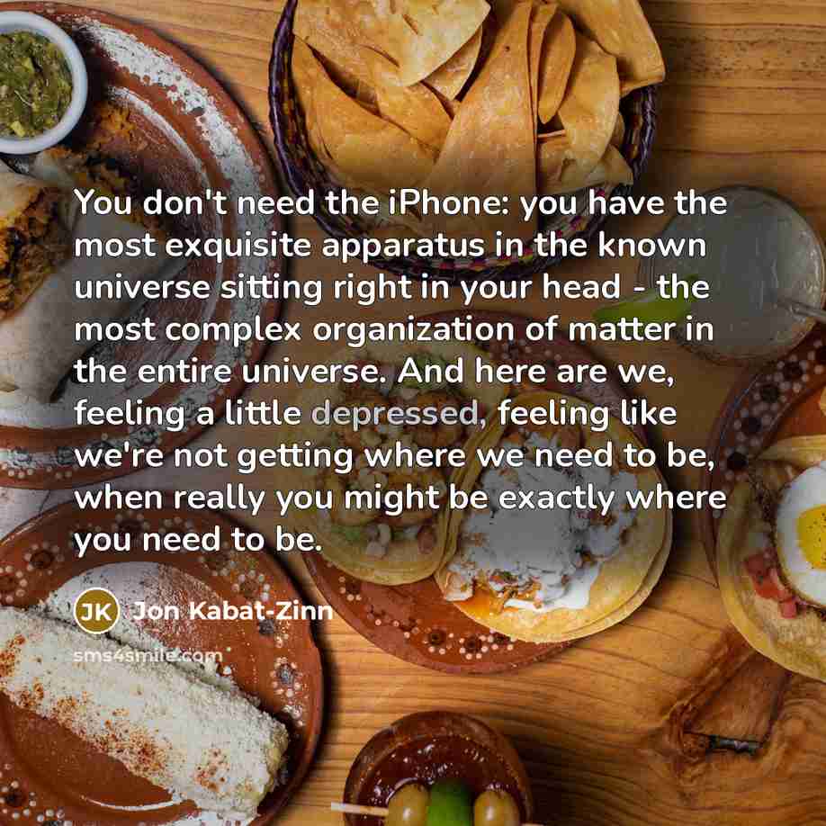 “You don't need the iPhone: you have the most exquisite…” quote by Jon Kabat-Zinn