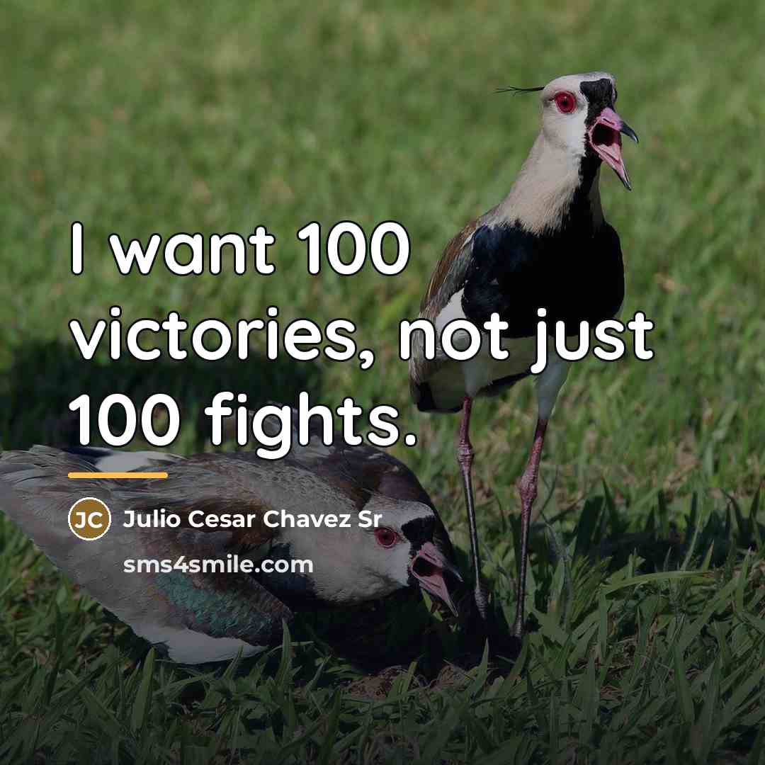 “I want 100 victories, not just 100 fights.…” quote by Julio Cesar Chavez Sr