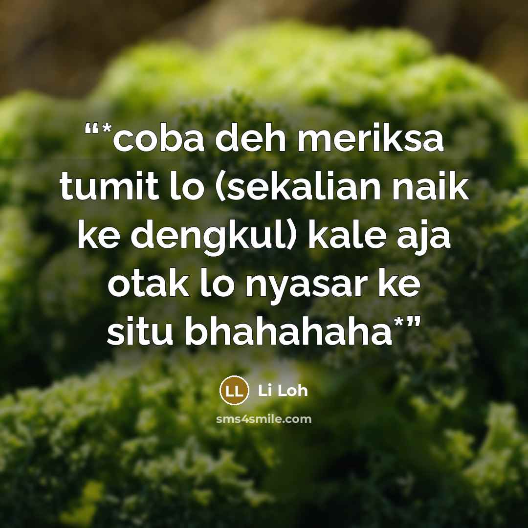 “*coba deh meriksa tumit lo (sekalian naik ke dengkul) kale aja otak lo nyasar ke situ bhahahaha*” quote by Li Loh
