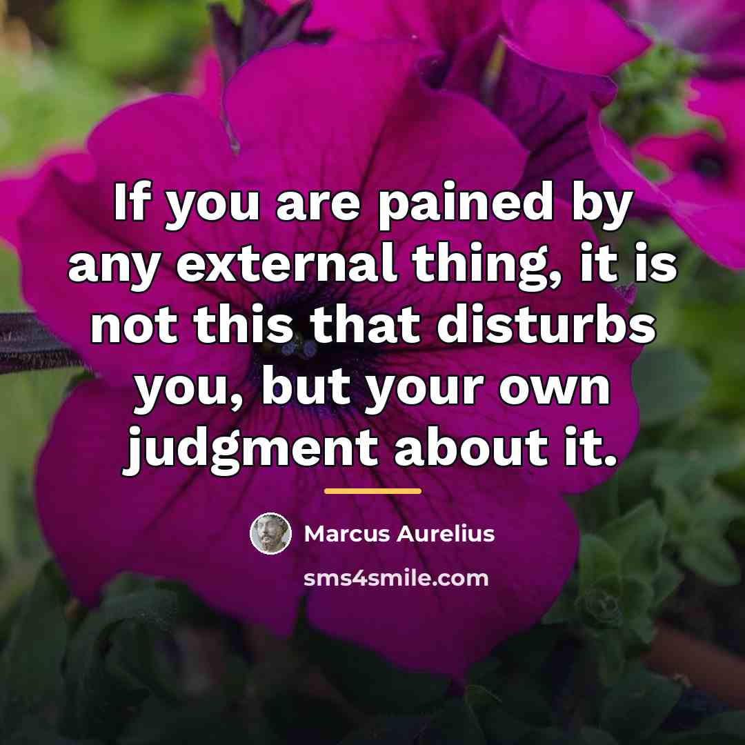 “If you are pained by any external thing, it is…” quote by Marcus Aurelius