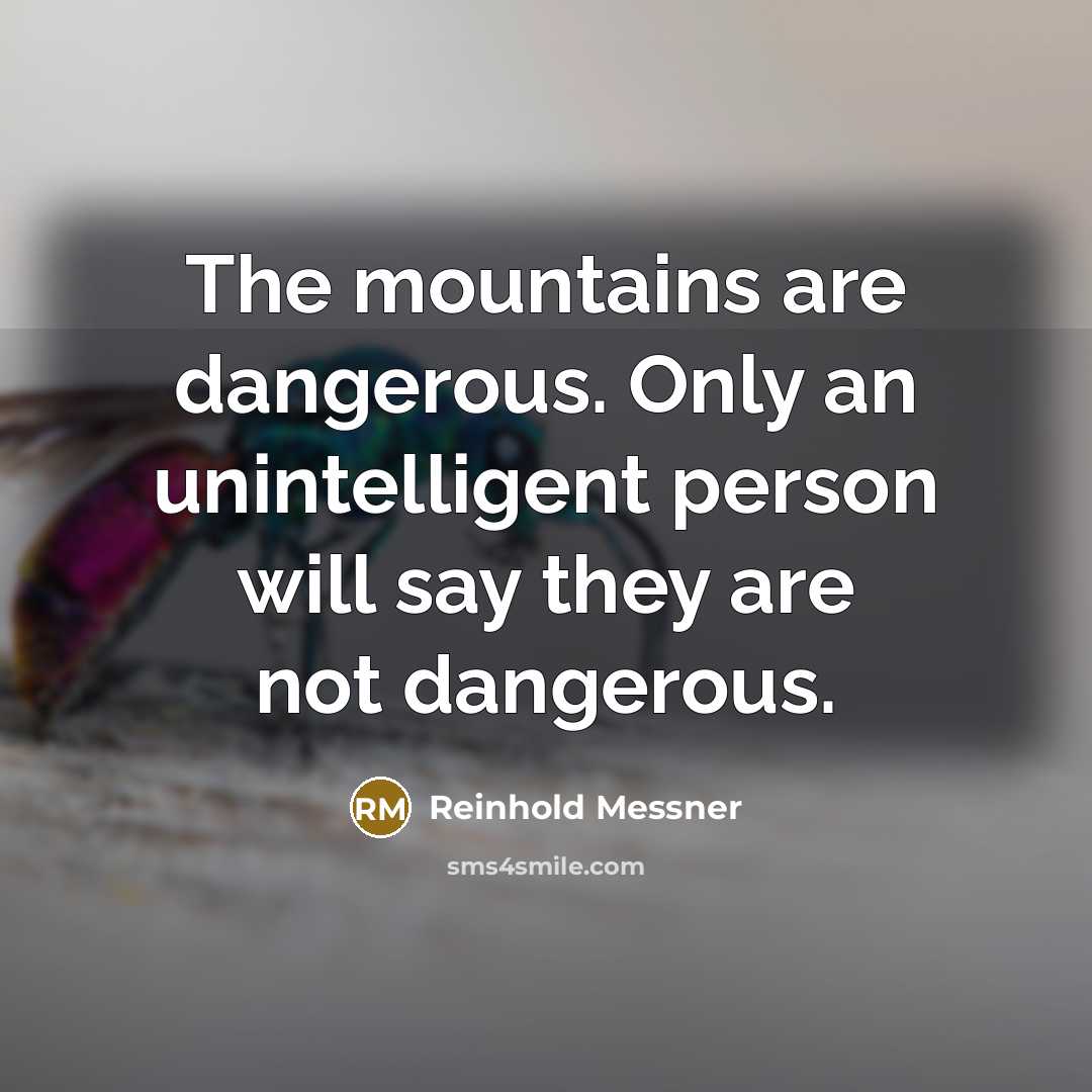 “The mountains are dangerous. Only an unintelligent person will say…” quote by Reinhold Messner