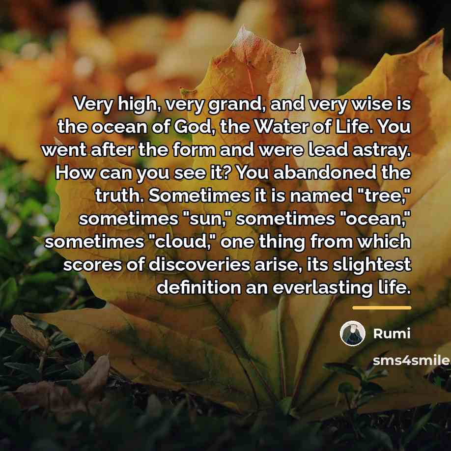 “Very high, very grand, and very wise is the ocean…” quote by Rumi