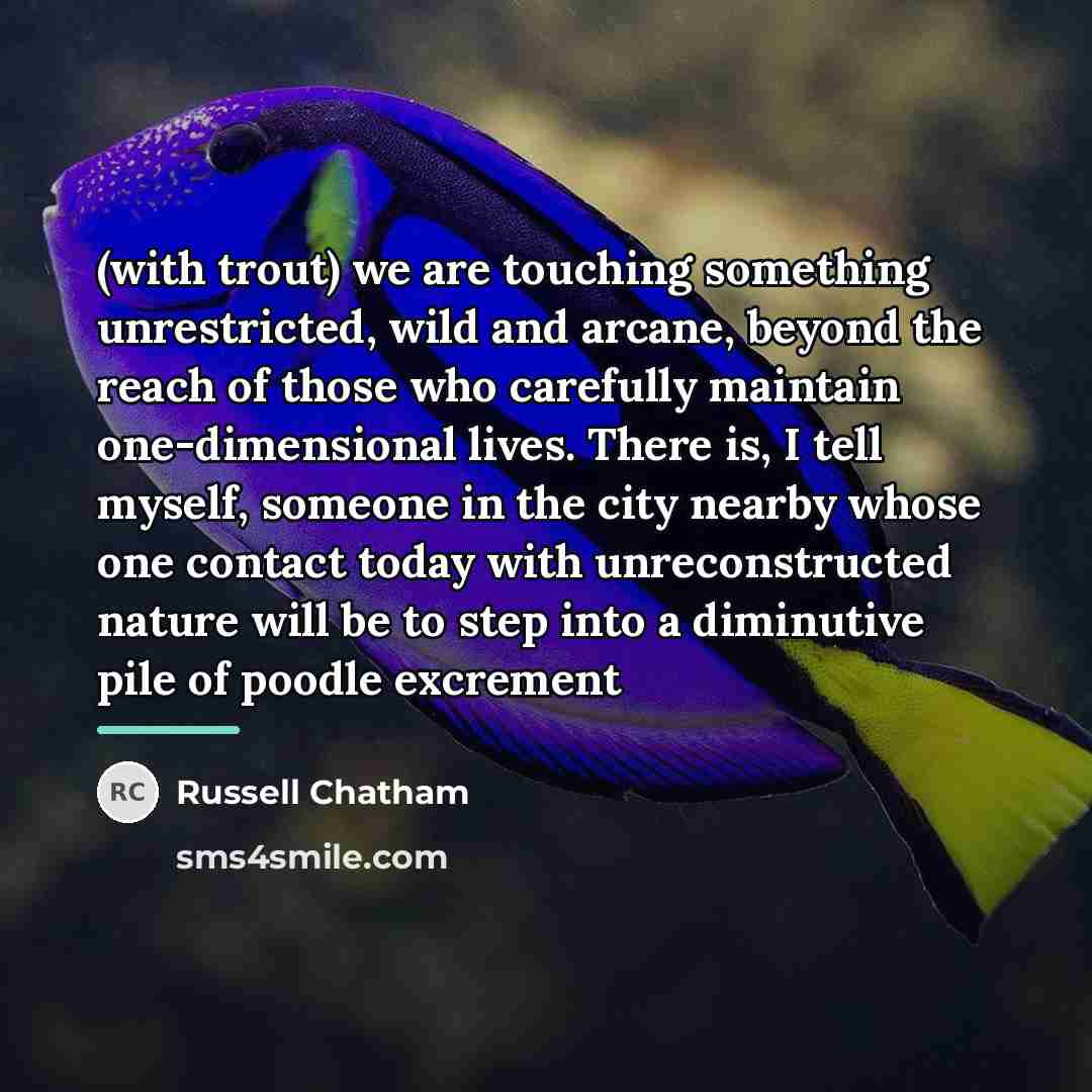 “(with trout) we are touching something unrestricted, wild and arcane,…” quote by Russell Chatham