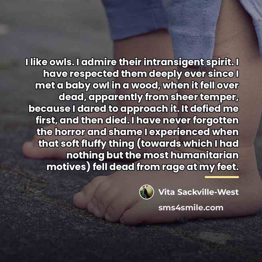 “I like owls. I admire their intransigent spirit. I have…” quote by Vita Sackville-West