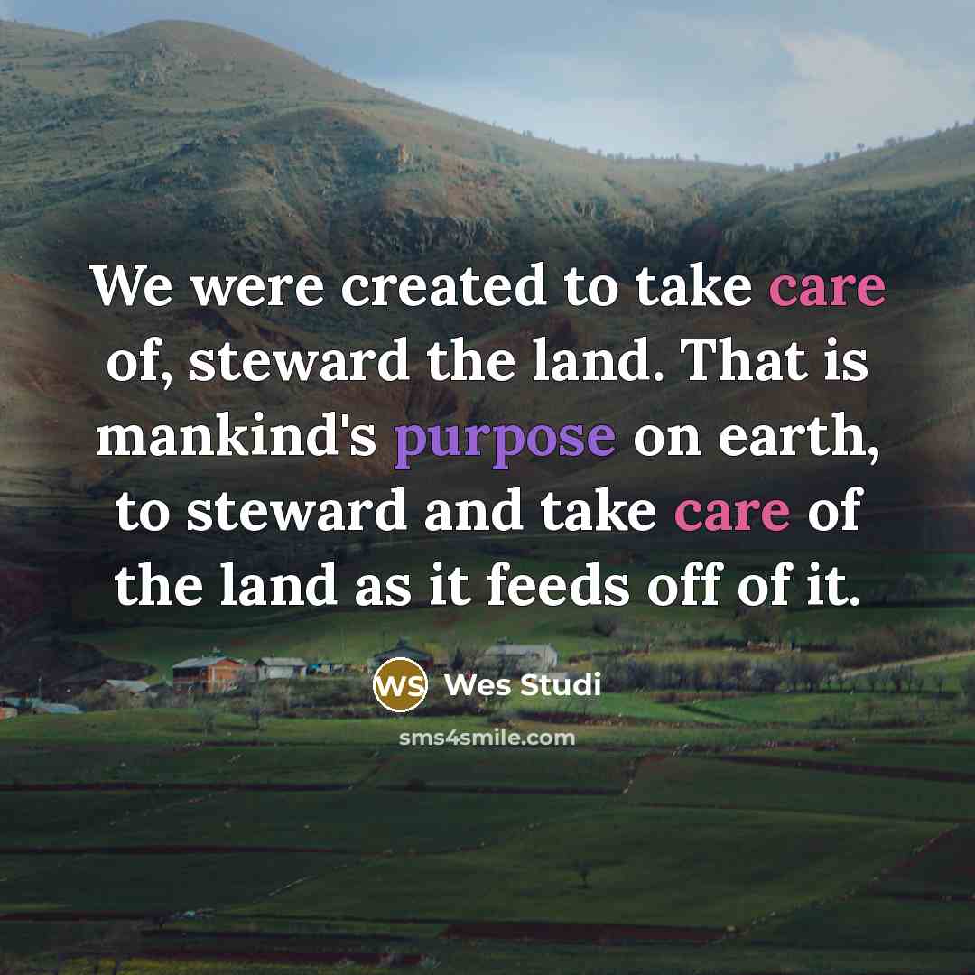 “We were created to take care of, steward the land.…” quote by Wes Studi