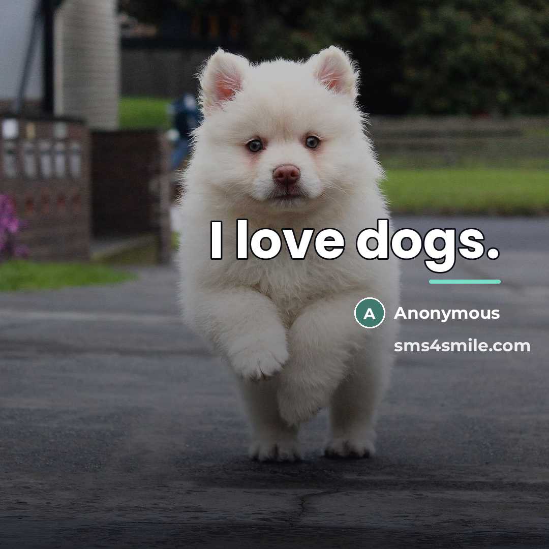 “I love dogs.…” quote by Anonymous