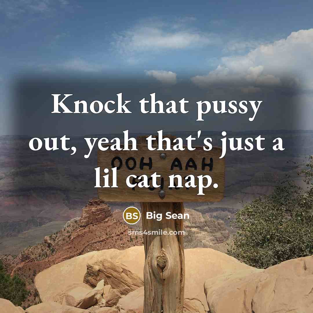“Knock that pussy out, yeah that's just a lil cat…” quote by Big Sean