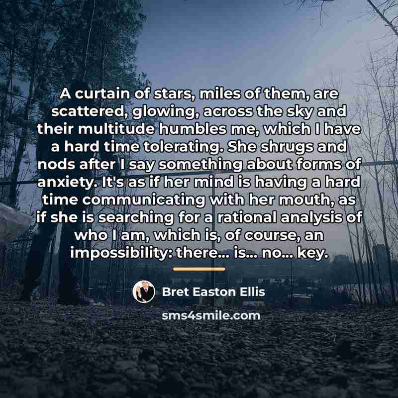 “A curtain of stars, miles of them, are scattered, glowing,…” quote by Bret Easton Ellis