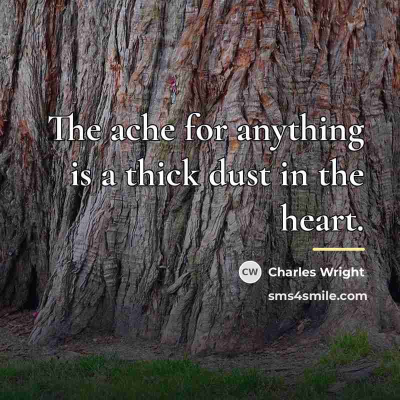 “The ache for anything is a thick dust in the…” quote by Charles Wright