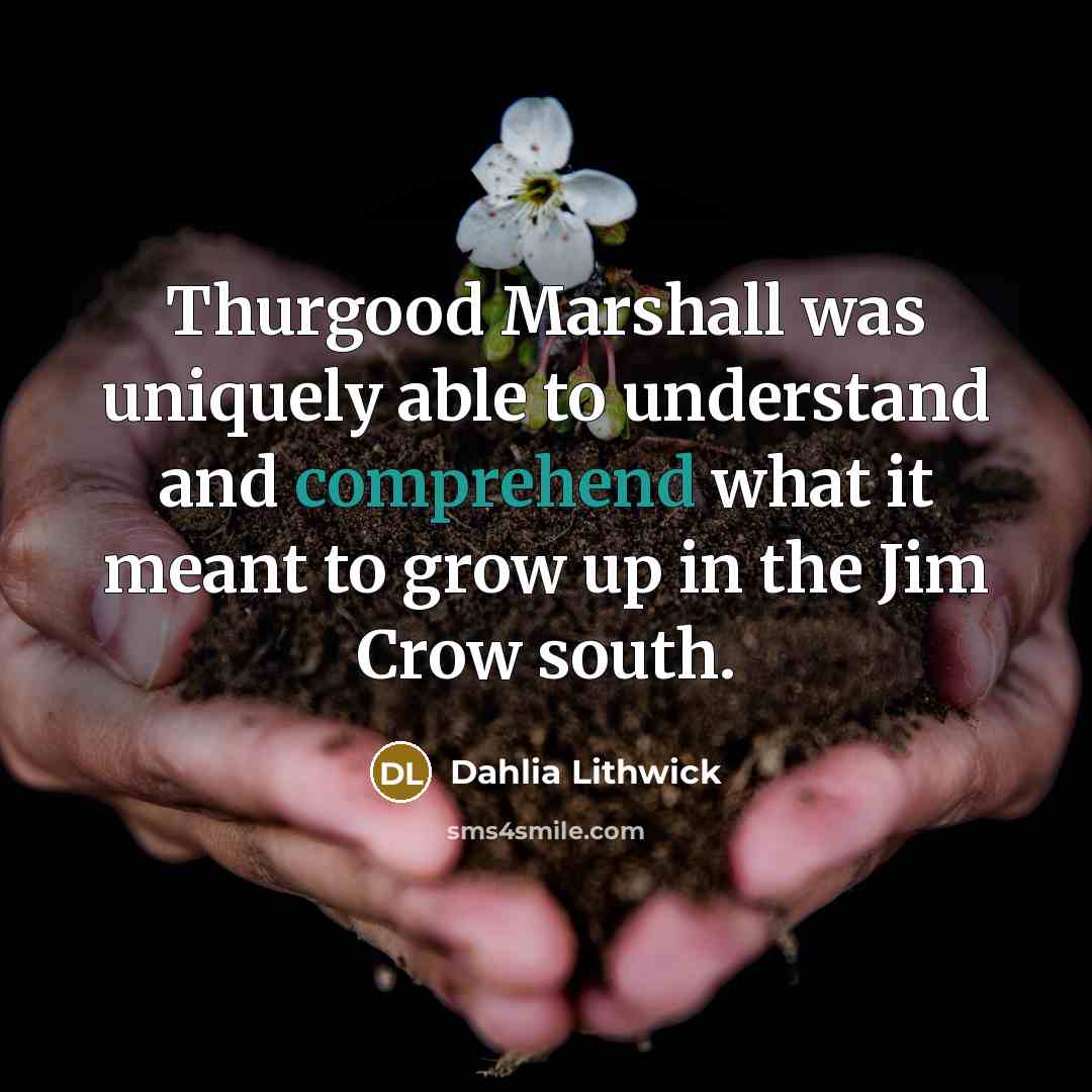 “Thurgood Marshall was uniquely able to understand and comprehend what…” quote by Dahlia Lithwick