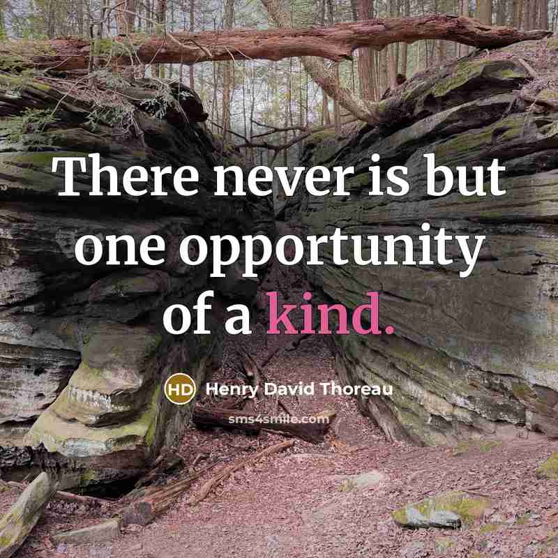 “There never is but one opportunity of a kind.…” quote by Henry David Thoreau