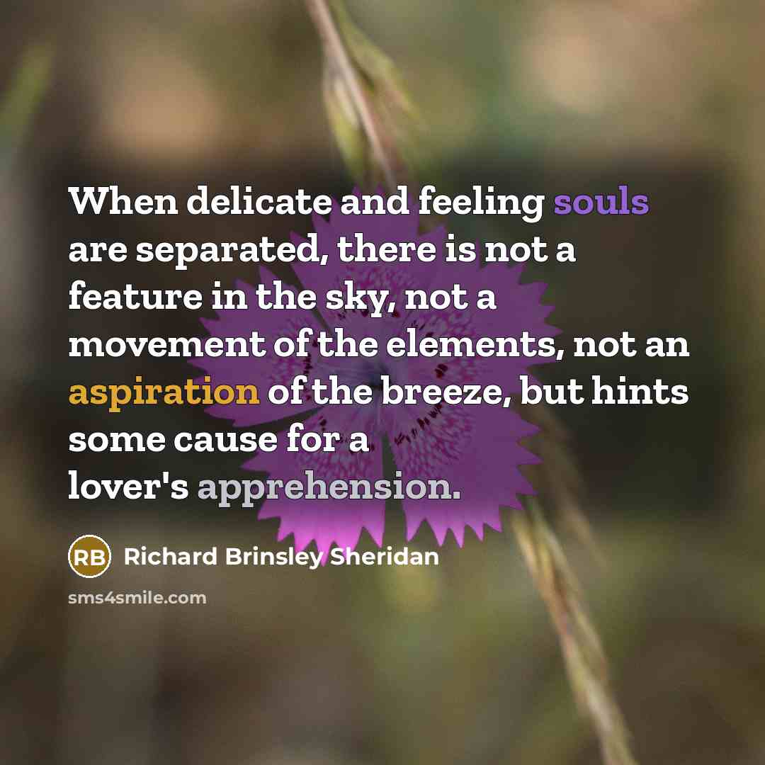 “When delicate and feeling souls are separated, there is not a feature in the sky, not a movement of the elements, not an aspiration of the breeze, but hints some cause for a lover's apprehension.” quote by Richard Brinsley Sheridan
