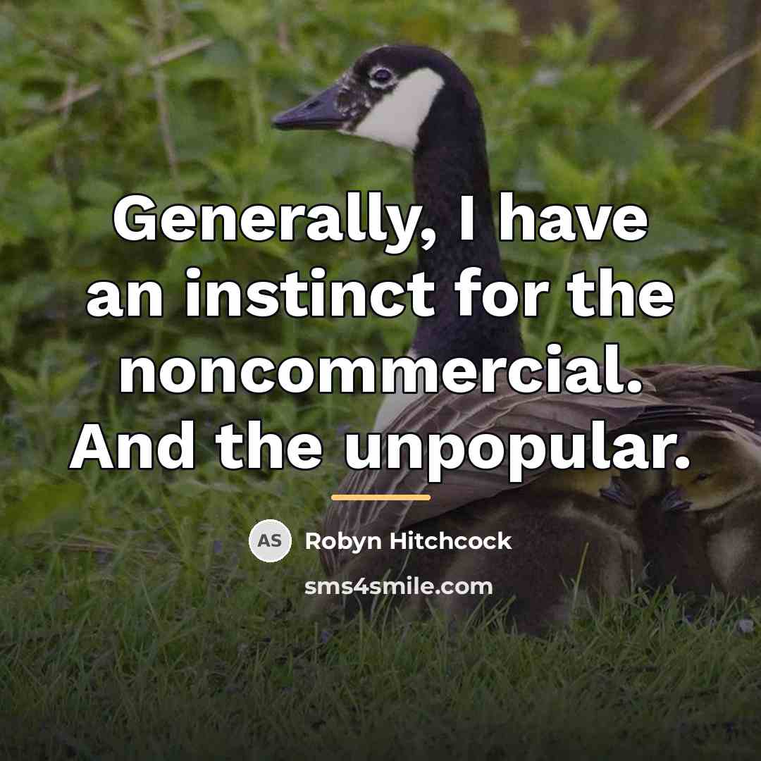 “Generally, I have an instinct for the noncommercial. And the…” quote by Robyn Hitchcock