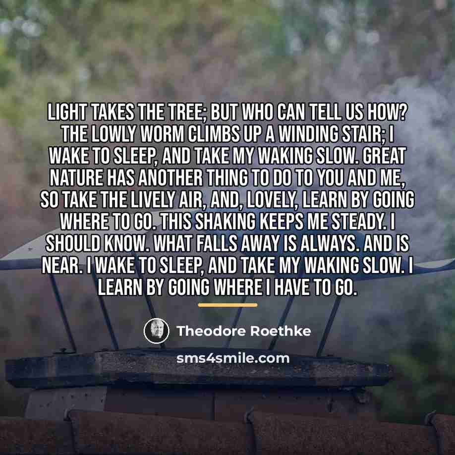 “Light takes the Tree; but who can tell us how?…” quote by Theodore Roethke