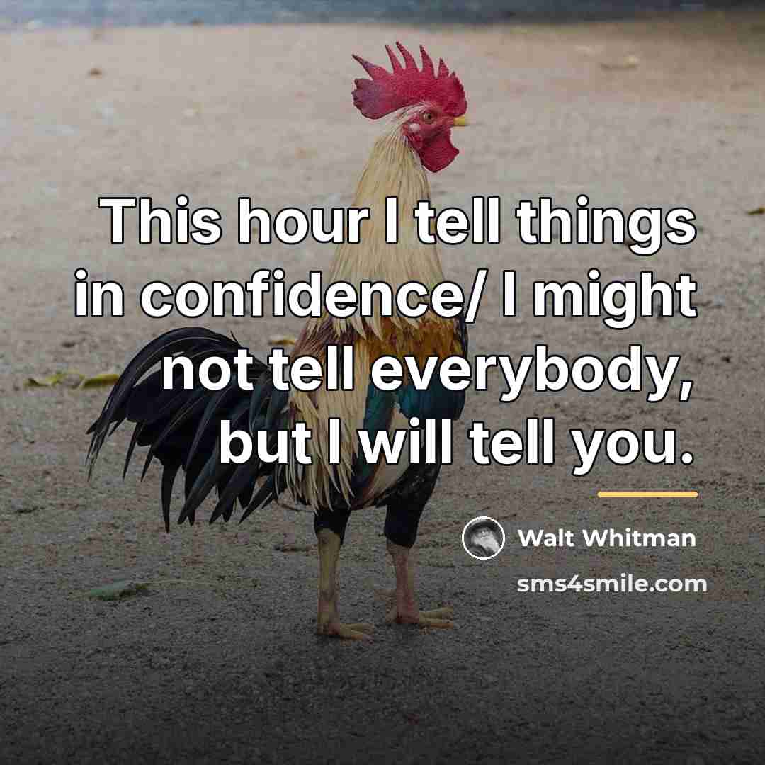 “This hour I tell things in confidence/ I might not…” quote by Walt Whitman